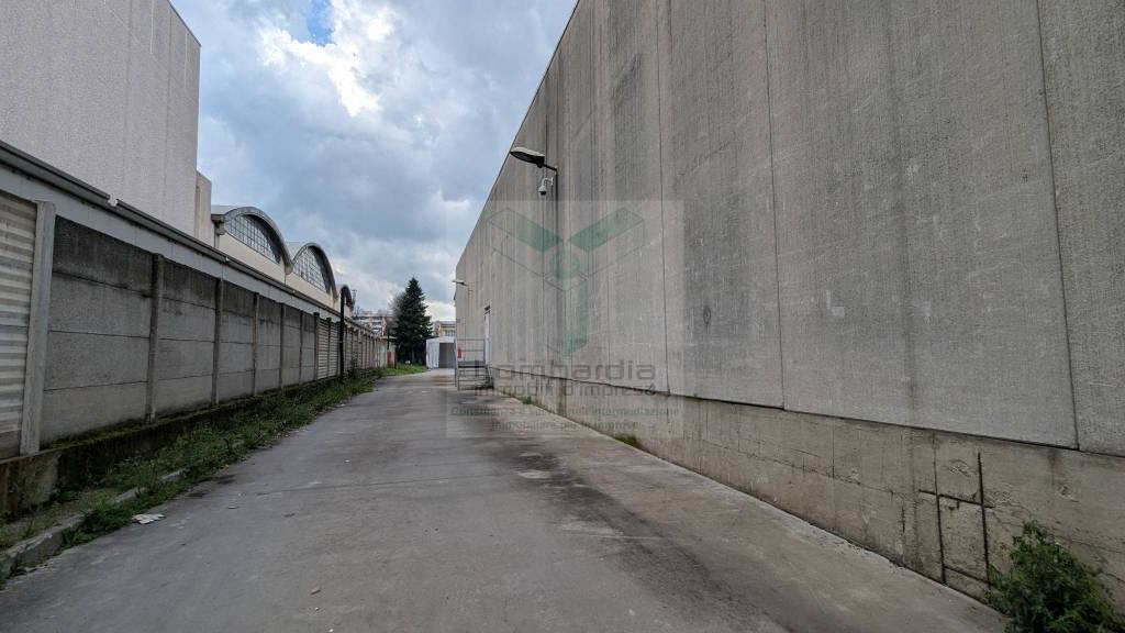 immagine annuncio 10 di 15