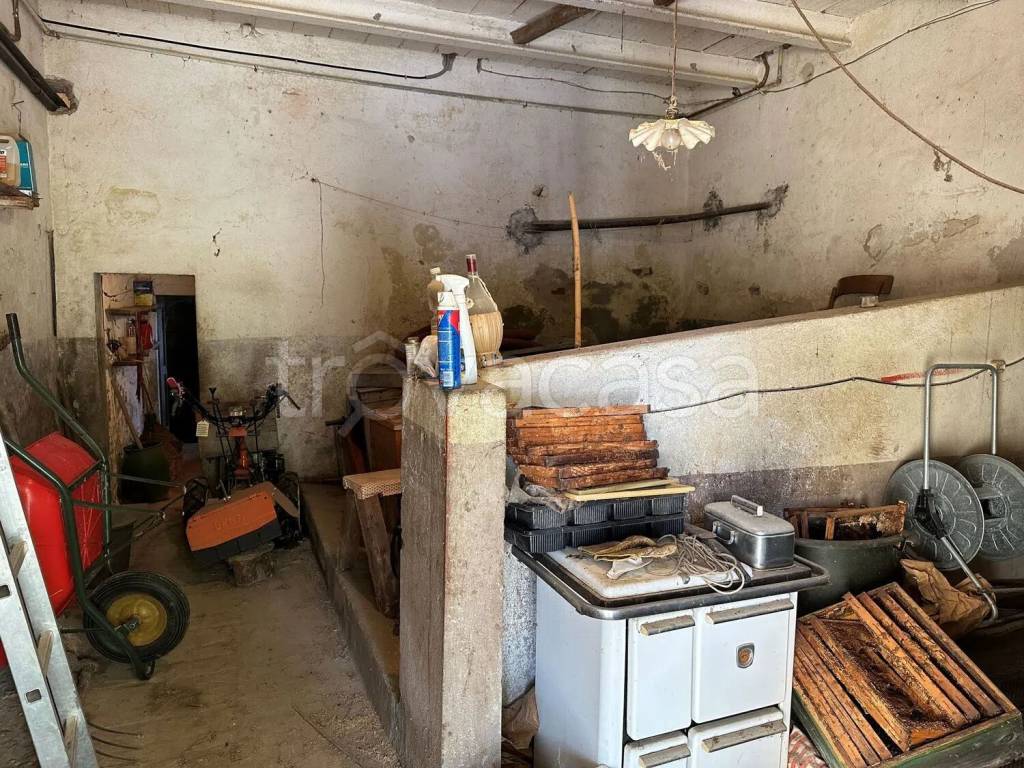 immagine annuncio 8 di 14