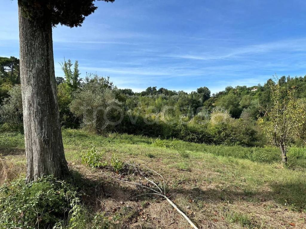 immagine annuncio 11 di 14