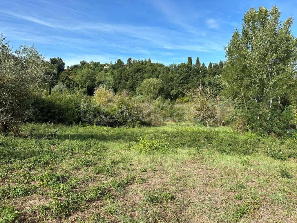 immagine annuncio 12 di 14