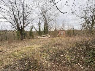 Terreno agricolo in vendita ad asti frazione stazione di portacomaro