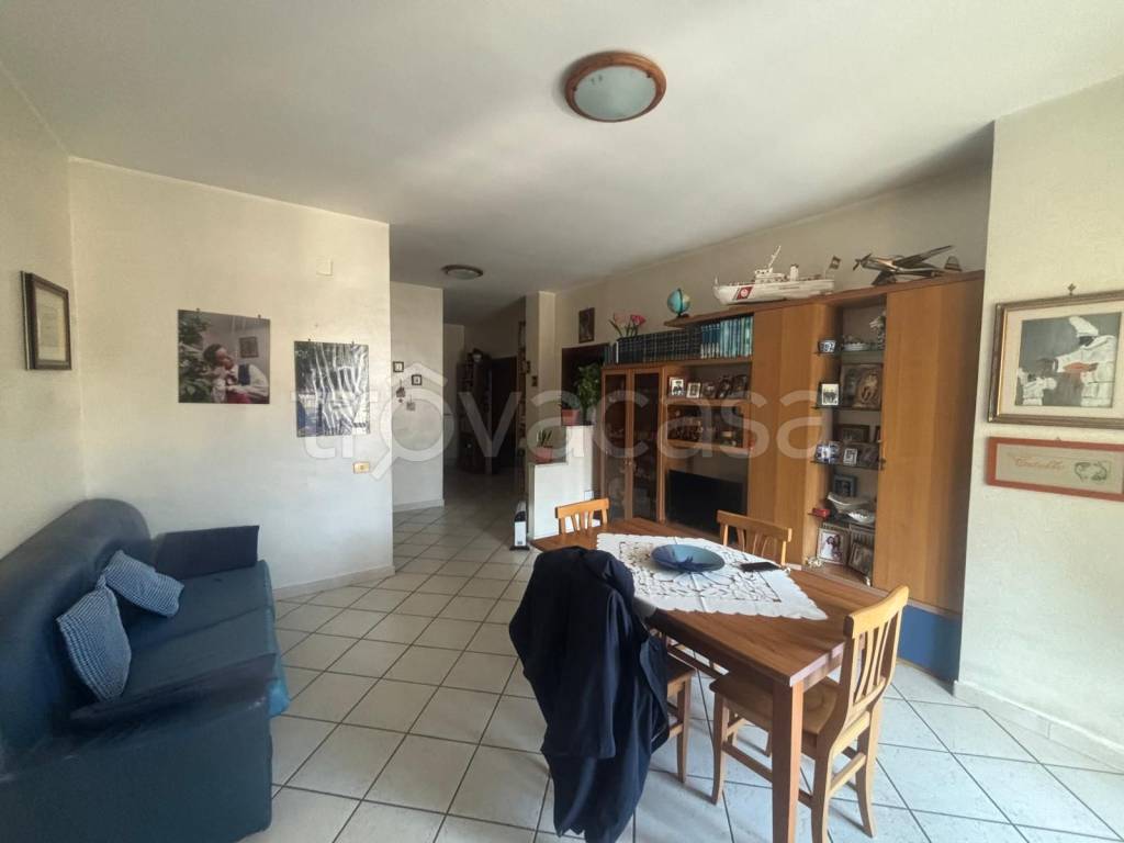 immagine annuncio 11 di 14