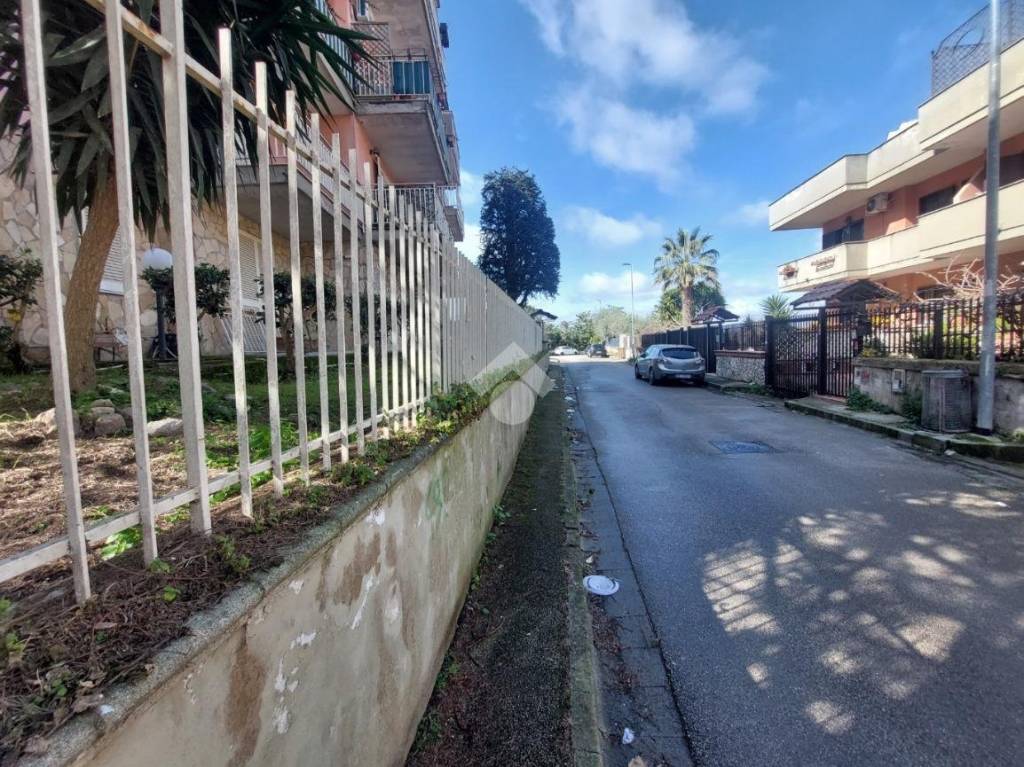 immagine annuncio 2 di 13