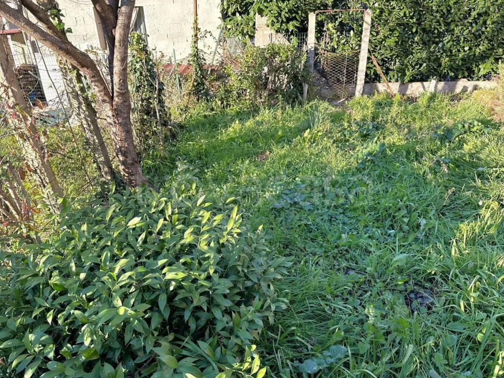 immagine annuncio 4 di 11