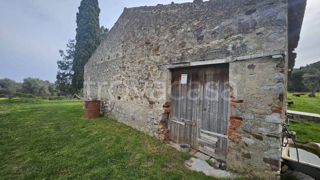 immagine annuncio 6 di 13