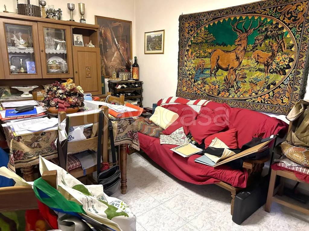 immagine annuncio 5 di 14