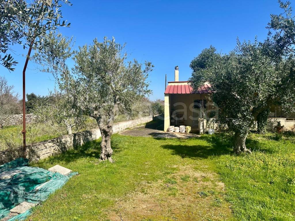 immagine annuncio 8 di 15