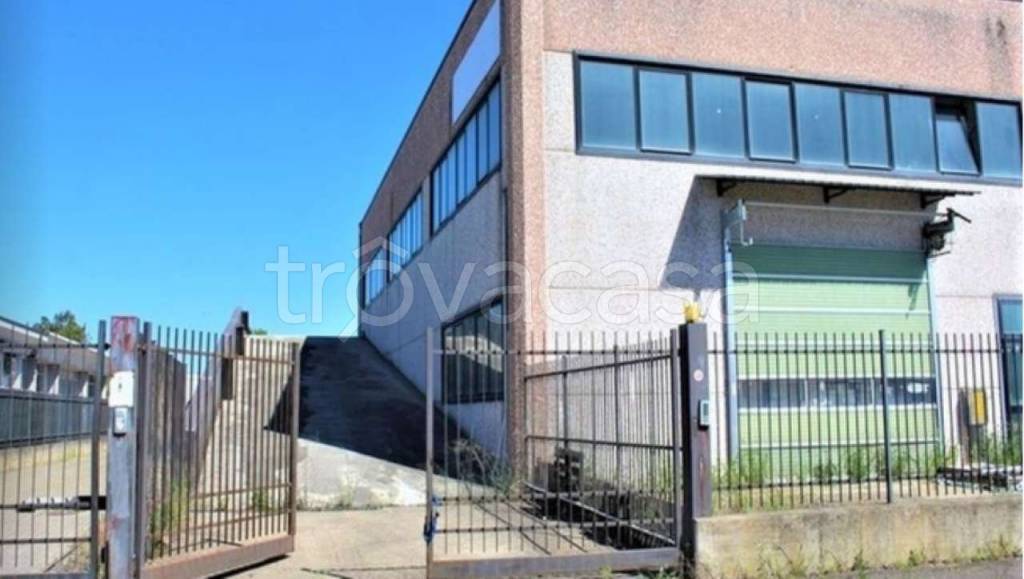 immagine annuncio 14 di 15