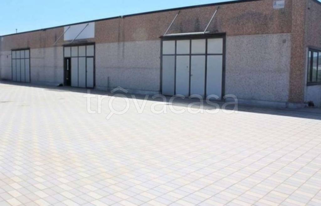 immagine annuncio 2 di 11