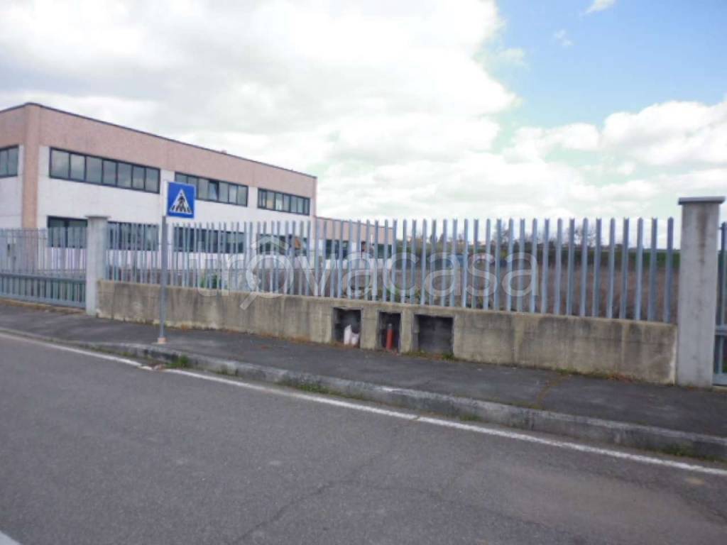 immagine annuncio 5 di 11