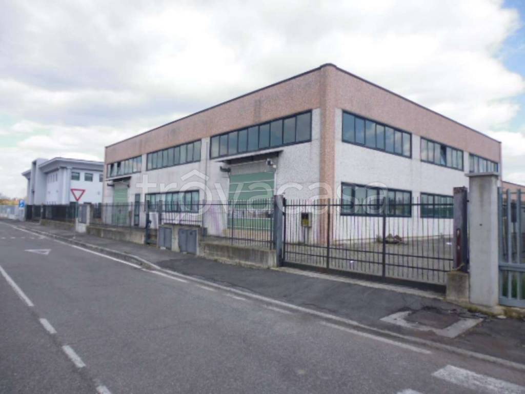 immagine annuncio 7 di 11