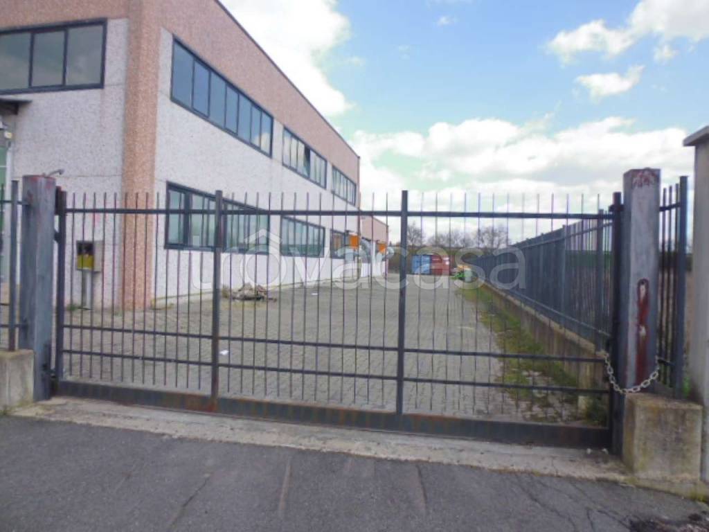 immagine annuncio 9 di 11