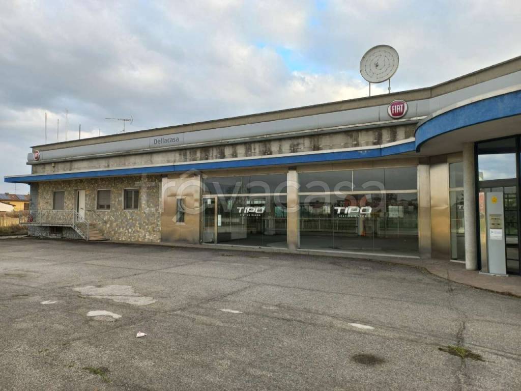 immagine annuncio 6 di 11