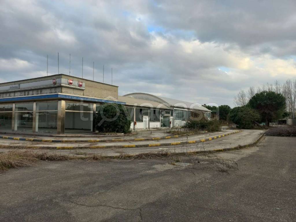 immagine annuncio 9 di 11