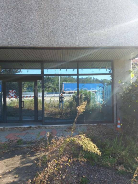 immagine annuncio 5 di 14