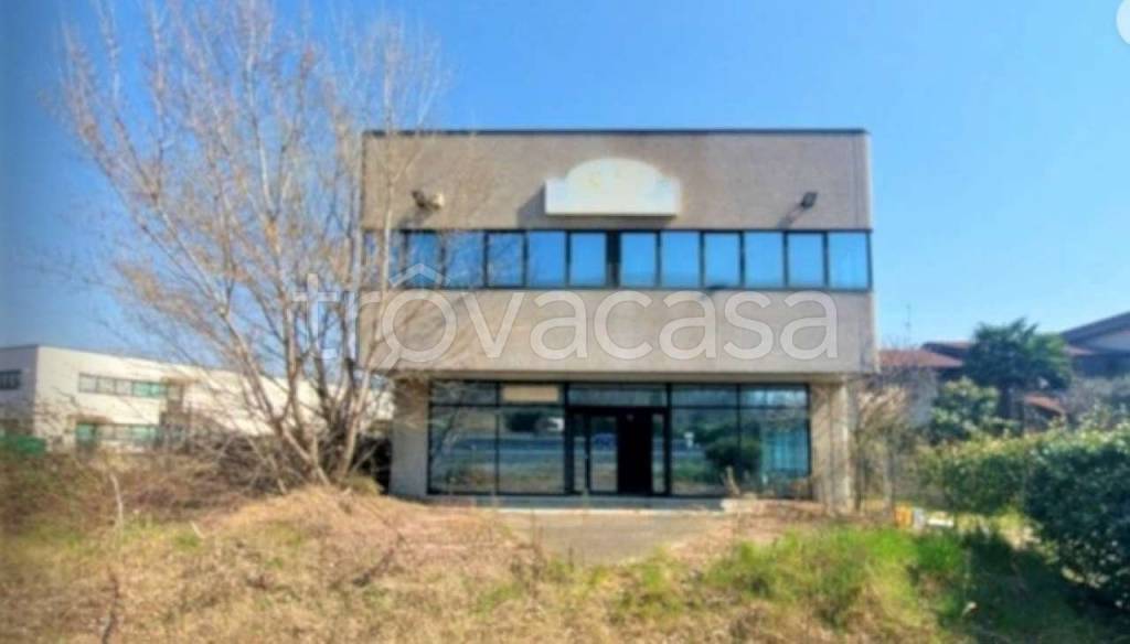 immagine annuncio 6 di 14