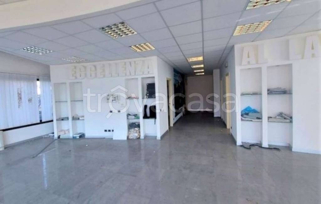 immagine annuncio 7 di 14