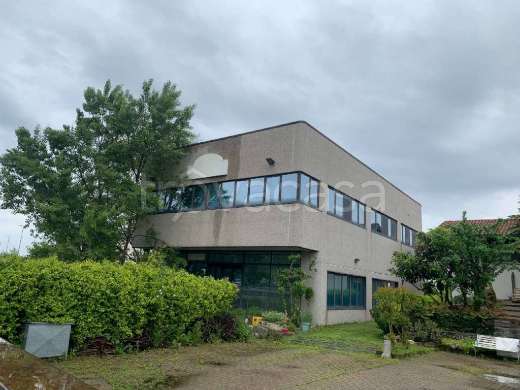 immagine annuncio 11 di 14