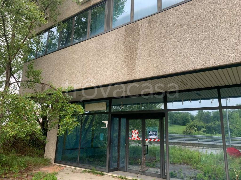 immagine annuncio 12 di 14