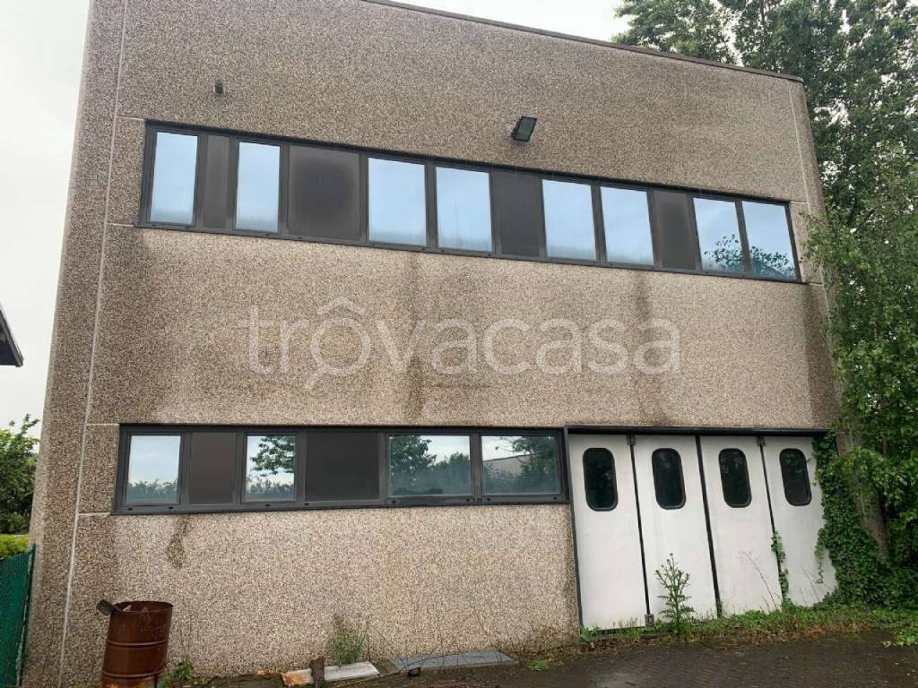 immagine annuncio 1 di 14