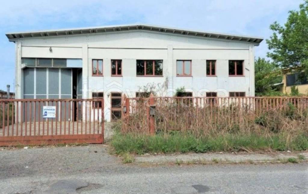 immagine annuncio 3 di 14