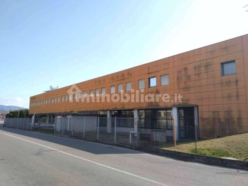 immagine annuncio 1 di 6