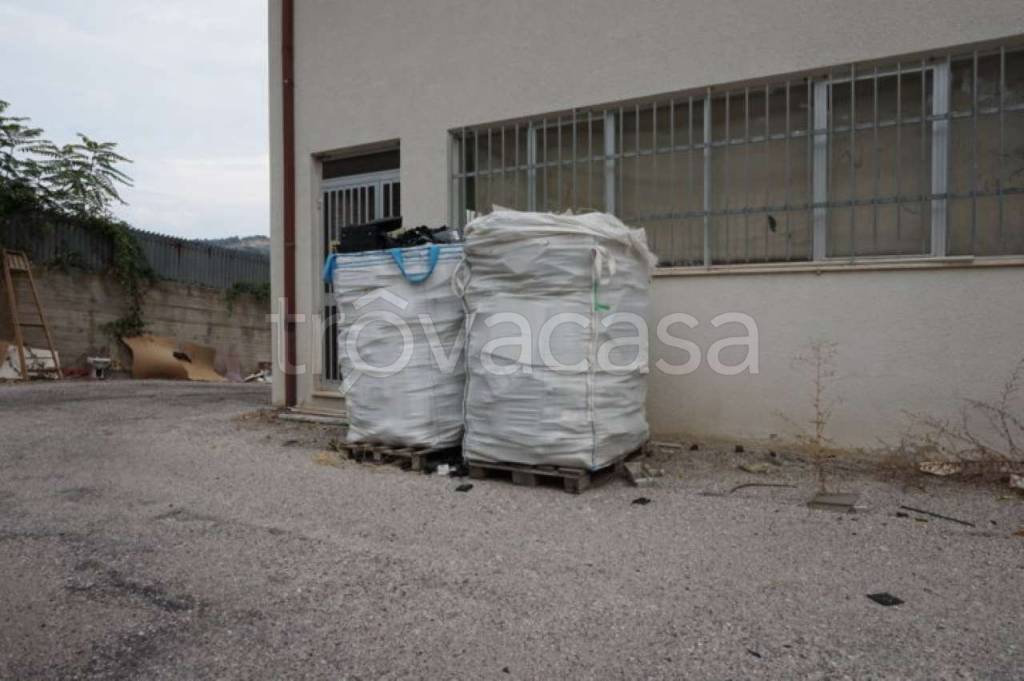 immagine annuncio 8 di 11