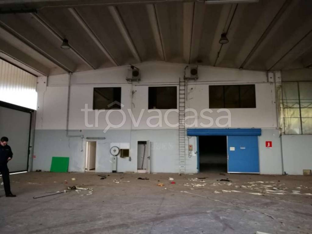 immagine annuncio 4 di 11