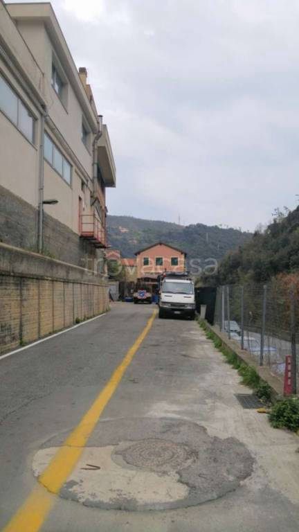 immagine annuncio 8 di 14
