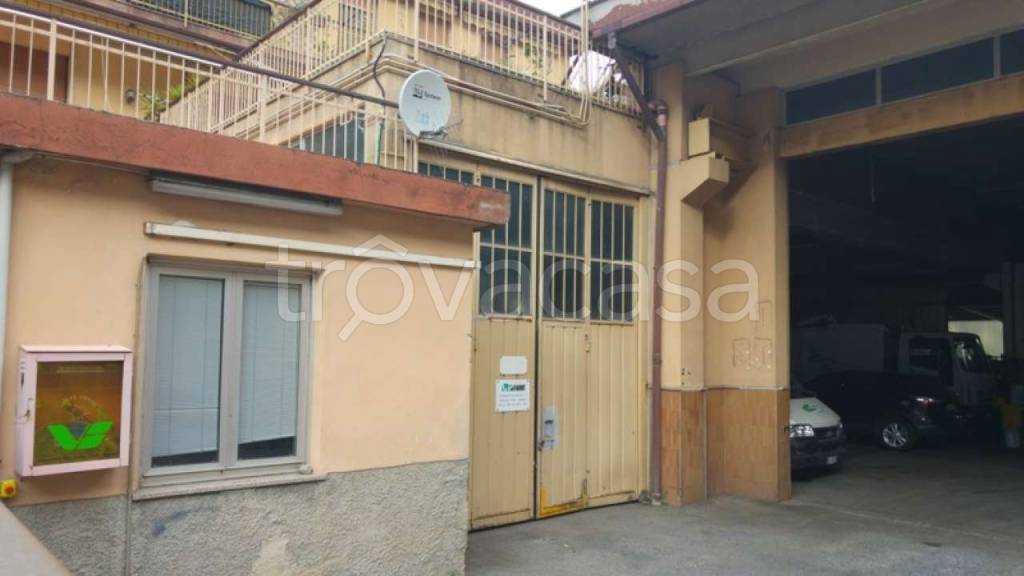immagine annuncio 10 di 14