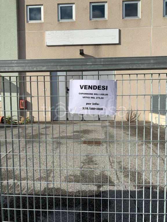 immagine annuncio 5 di 15