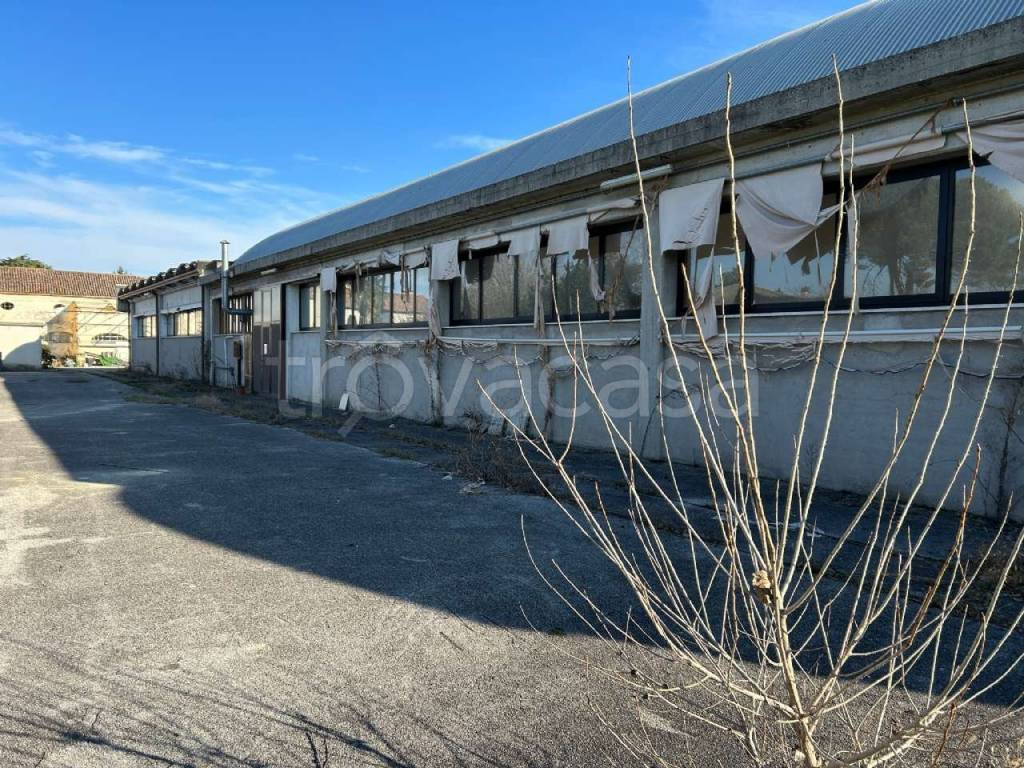 immagine annuncio 2 di 12