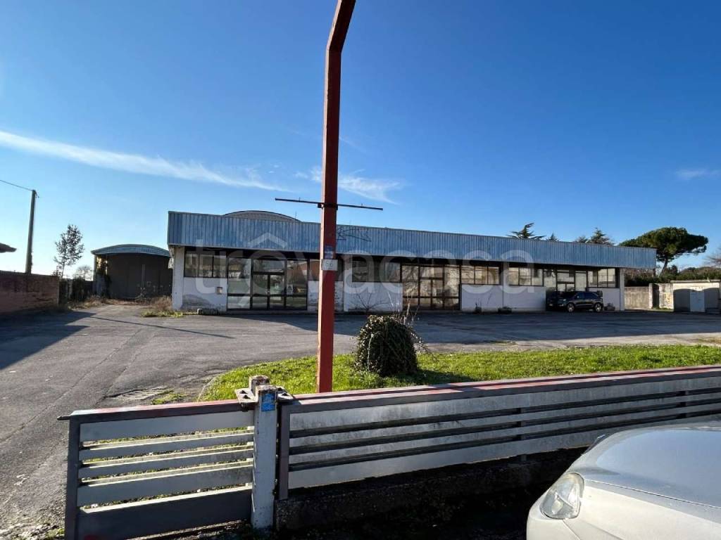 immagine annuncio 4 di 12