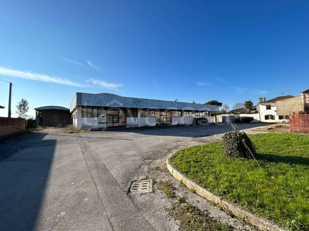 immagine annuncio 5 di 12