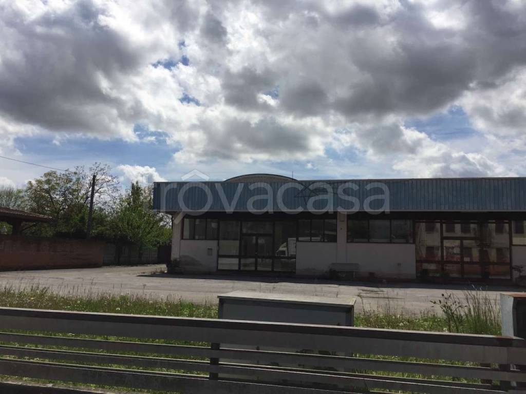 immagine annuncio 6 di 12