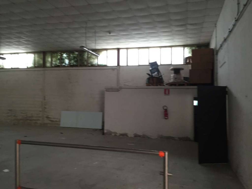 immagine annuncio 7 di 12