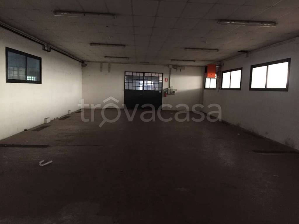 immagine annuncio 8 di 12