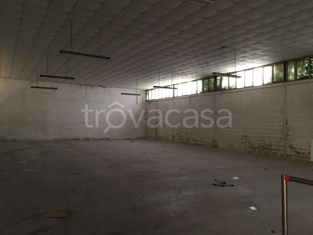 immagine annuncio 9 di 12