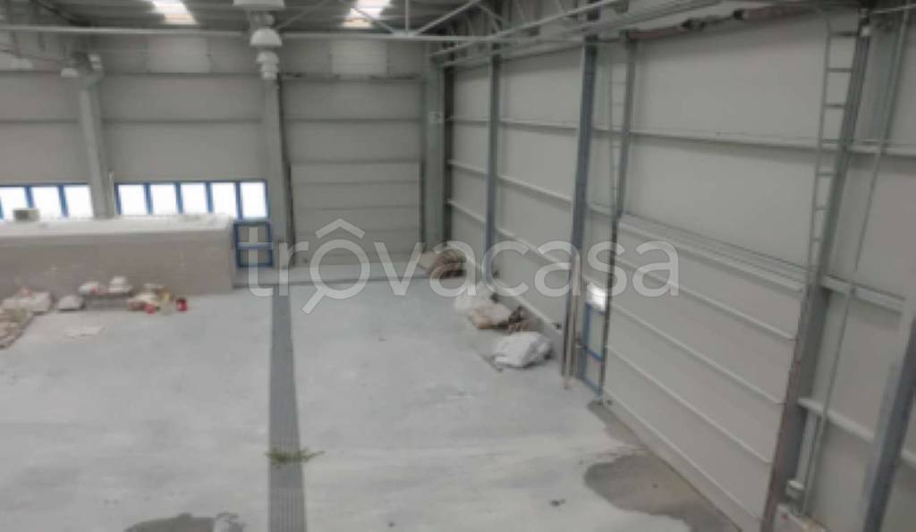 immagine annuncio 2 di 7