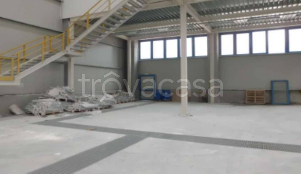 immagine annuncio 3 di 7