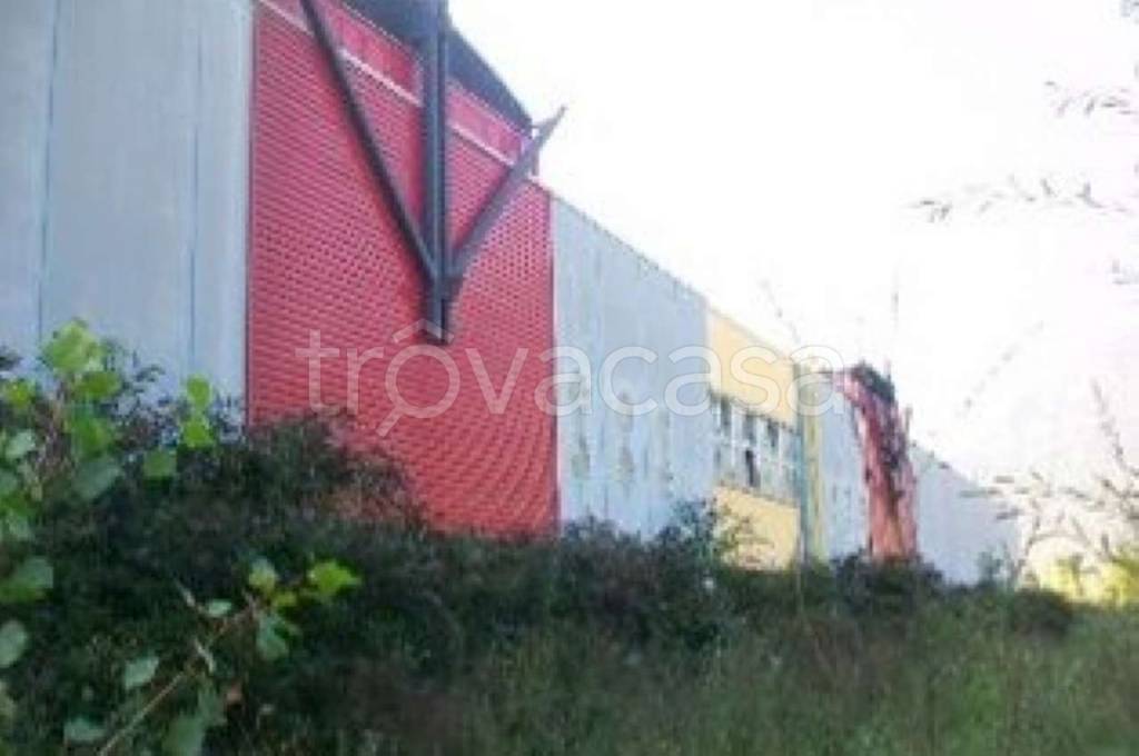 immagine annuncio 2 di 6