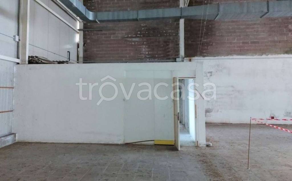 immagine annuncio 10 di 14