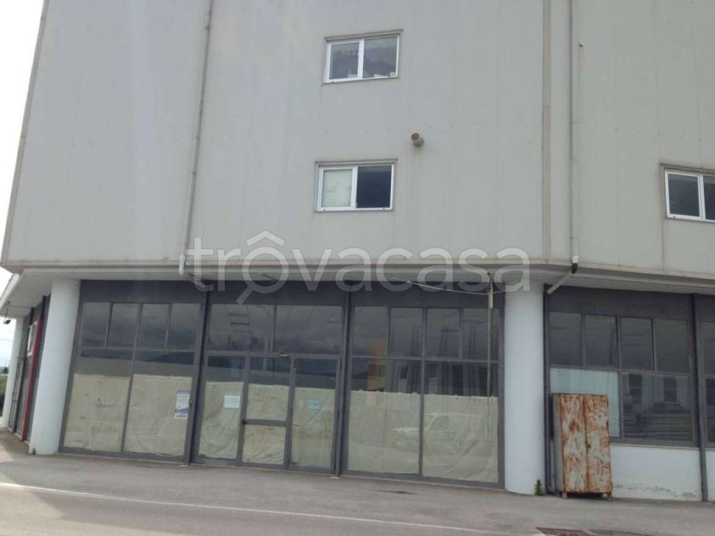 immagine annuncio 4 di 11