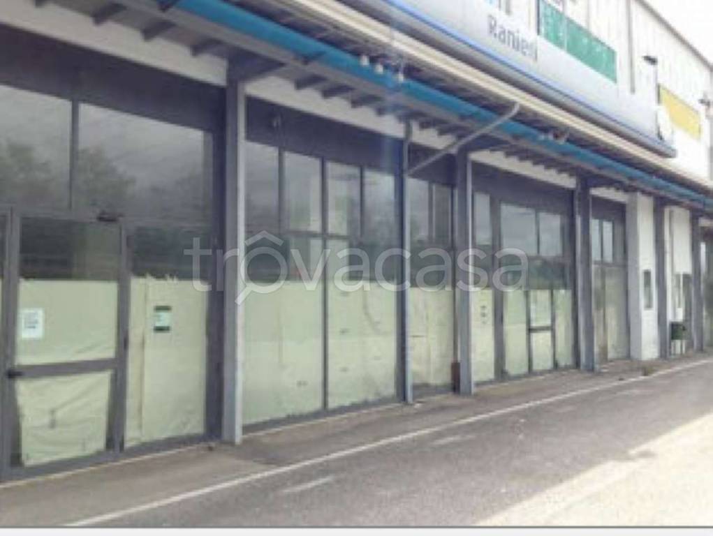 immagine annuncio 8 di 11