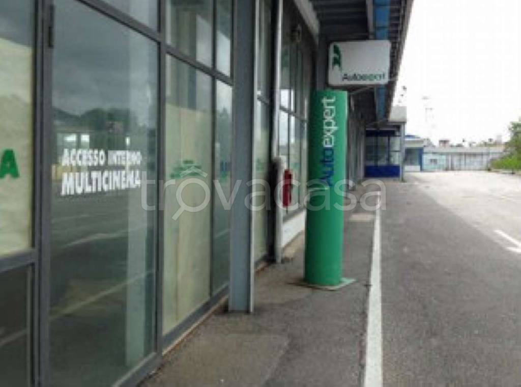 immagine annuncio 9 di 11