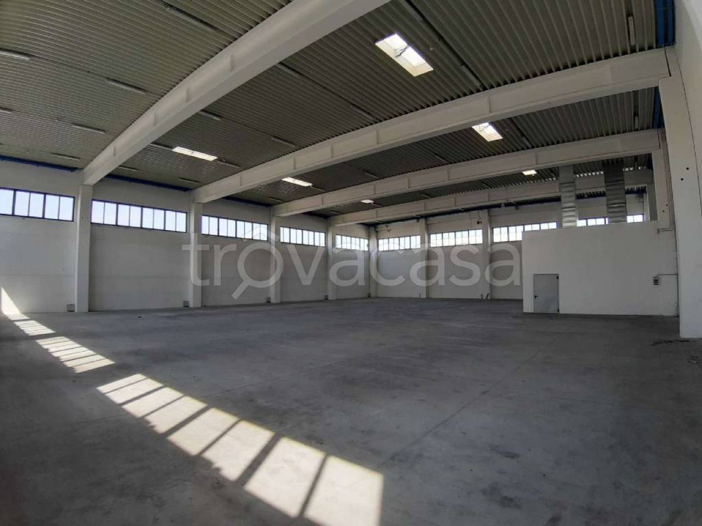 immagine annuncio 1 di 14