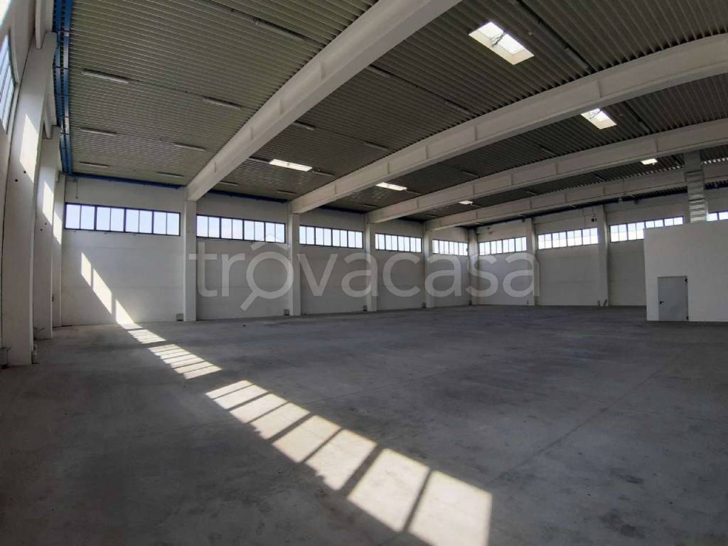 immagine annuncio 2 di 14