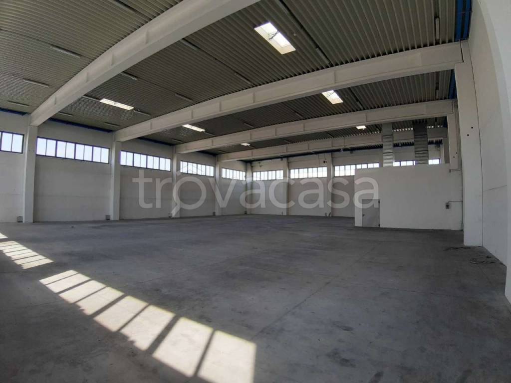 immagine annuncio 3 di 14