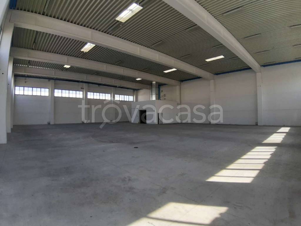 immagine annuncio 4 di 14