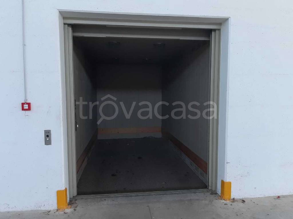 immagine annuncio 5 di 14